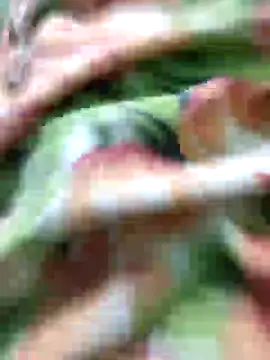 Snapshot of SILENT_FUCKER_01 chatting on 12-17-24, 02:11 SILENT FUCKER 01 online show from 12-17-24, 02:11