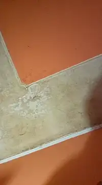 Snapshot of ducicsajsziii chatting on 03-19-25, 03:08 ducicsajsziii online show from 03-19-25, 03:08