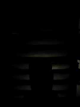 ZIMMY25 online show from 03-31-26, 07:36