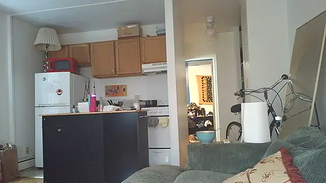 SiminFox online show from 10-31-25, 07:48