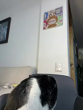 ananya sex1 online show from 03-15-26, 05:57