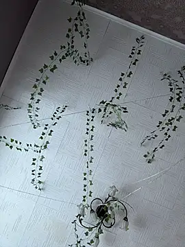 Snapshot of AmmyHot chatting on 01-17-26, 04:06 AmmyHot online show from 01-17-26, 04:06