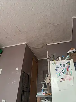 AmmyHot online show from 03-06-26, 05:04