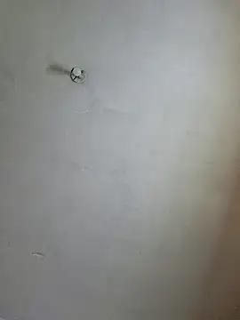 Snapshot of Ricorry@xh chatting on 12-14-24, 05:29 Ricorryxh online show from 12-14-24, 05:29