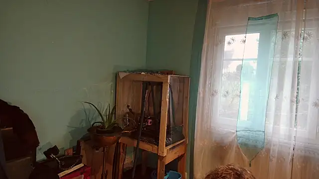 Prxscillia Tx online show from 12-13-24, 08:20