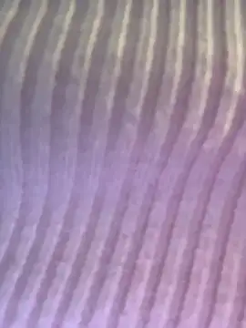 Isabellafantazy online show from 12-16-25, 04:01