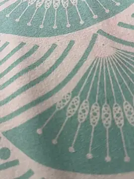 Snapshot of kannadatelugugirl chatting on 01-01-25, 03:13 kannadatelugugirl online show from 01-01-25, 03:13