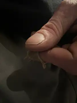 Followthepiper online show from 02-05-25, 02:40