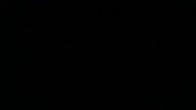 PortraitMarie online show from 02-01-25, 06:29