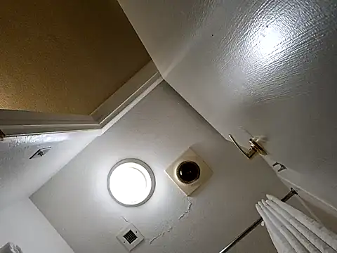 Snapshot of Treemandude chatting on 10-29-25, 02:36 Treemandude online show from 10-29-25, 02:36