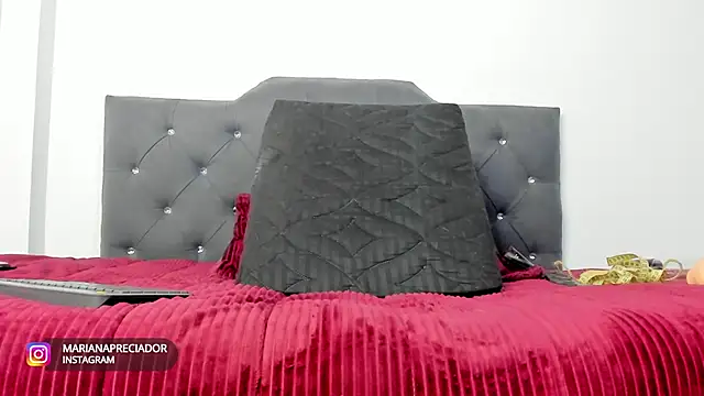 Snapshot of mariana_preciado chatting on 01-05-25, 03:55 mariana preciado online show from 01-05-25, 03:55