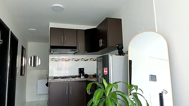 grey   27 online show from 03-05-25, 09:15