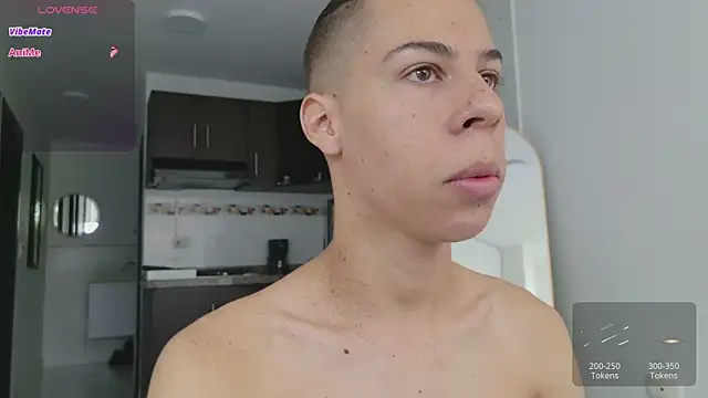 grey   27 online show from 03-08-26, 11:58