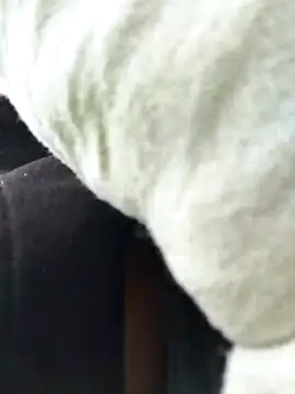 Snapshot of Emily_Wane chatting on 02-24-26, 06:28 Emily Wane online show from 02-24-26, 06:28