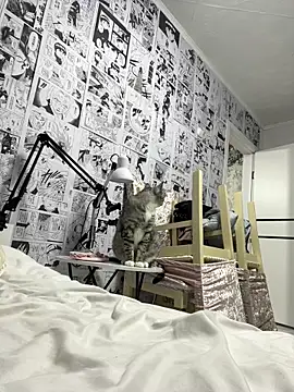 Minami 686 online show from 12-09-24, 12:40