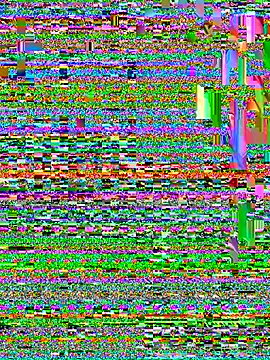 CamelliaLong online show from 04-08-26, 02:44