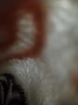 FantasticWonders9 online show from 04-12-26, 10:26