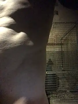 Josele1981 online show from 05-01-26, 08:46