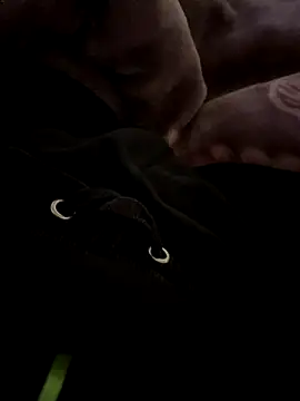 balamuc97 online show from 12-04-25, 11:52