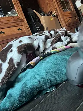 Snapshot of SexyB214 chatting on 03-07-25, 12:15 SexyB214 online show from 03-07-25, 12:15