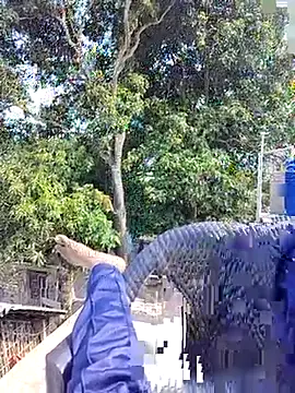 Snapshot of ErRakesh1 chatting on 11-10-25, 05:28 ErRakesh1 online show from 11-10-25, 05:28