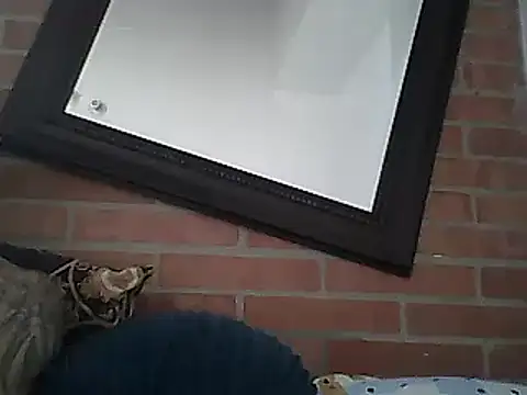 Snapshot of Skater29xx2 chatting on 03-15-25, 08:10 Skater29xx2 online show from 03-15-25, 08:10