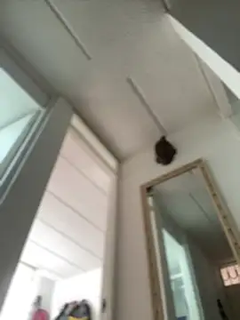 Snapshot of Mila_Morgan chatting on 02-27-25, 02:43 Mila Morgan online show from 02-27-25, 02:43