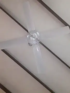 TuBandi2 online show from 11-11-25, 09:48