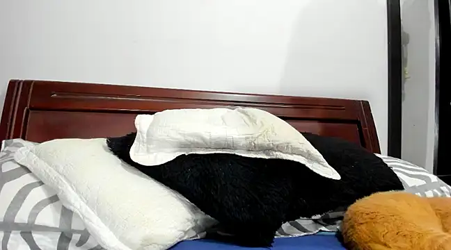 aleziiacam online show from 02-14-25, 03:11