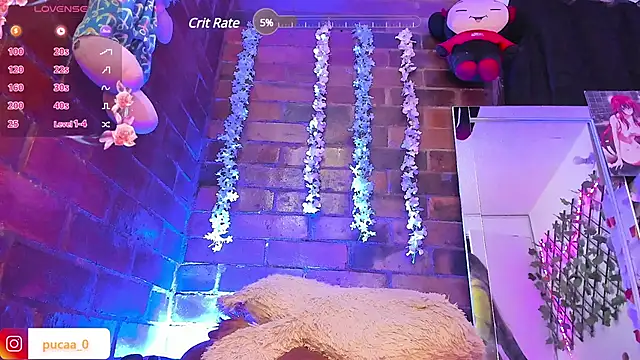 Pucaa  online show from 01-31-25, 04:03