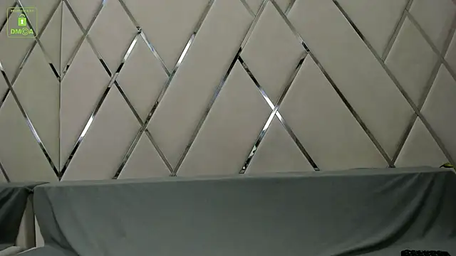 Snapshot of BrandonNorris chatting on 01-20-25, 03:48 BrandonNorris online show from 01-20-25, 03:48