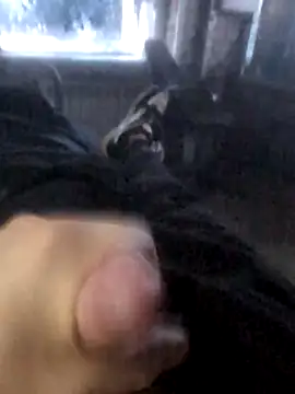 Boysex227 online show from 03-19-26, 04:27