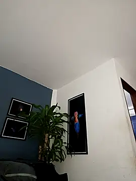 SilvaBranko online show from 12-18-25, 12:06