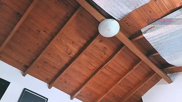 SilvaBranko online show from 03-14-26, 08:03