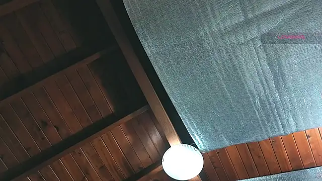 SilvaBranko online show from 04-07-26, 01:06