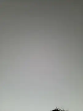 high andlow420 online show from 03-08-25, 12:41