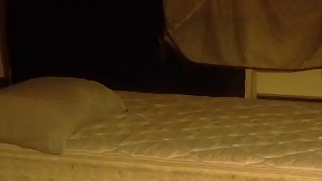 Armyexhibitionistvet online show from 03-19-26, 11:03