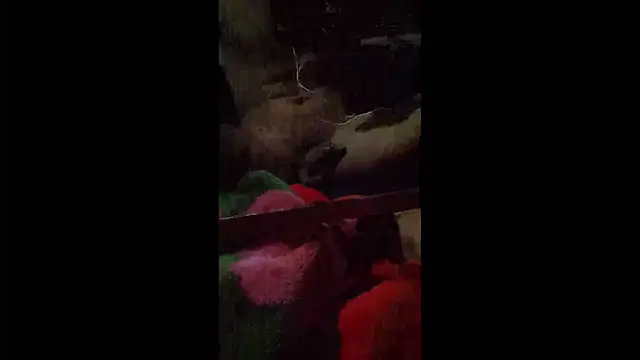 008Alexan online show from 04-22-26, 03:31