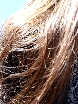 Violeta 12- online show from 12-11-24, 03:58