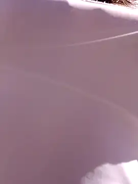 Violeta 12- online show from 01-22-25, 02:35