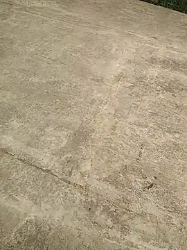 Mafiya1604 online show from 09-19-25, 07:32