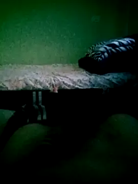 Snapshot of SOYMRX chatting on 12-17-24, 10:32 SOYMRX online show from 12-17-24, 10:32