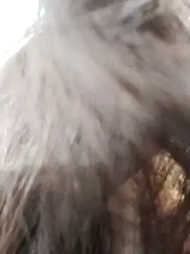 Kiritika 1 online show from 03-25-26, 02:39