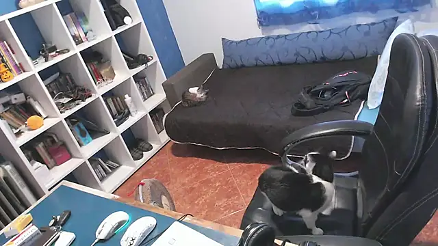 ravingr4d4 online show from 10-24-25, 03:19