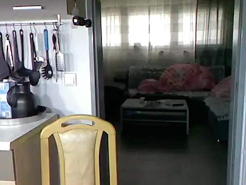 pimmelmann3 online show from 11-15-25, 11:40