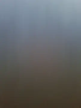 Snapshot of pachapeter chatting on 04-20-26, 12:52 pachapeter online show from 04-20-26, 12:52