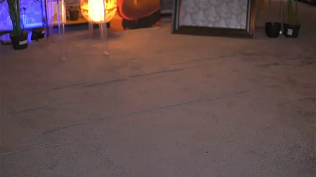 EvaZane online show from 01-29-25, 03:04