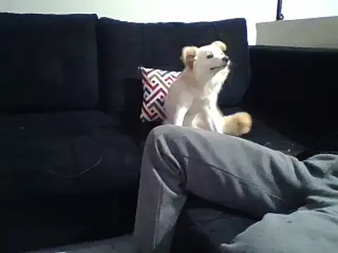 KikiLovesD online show from 12-31-24, 08:34