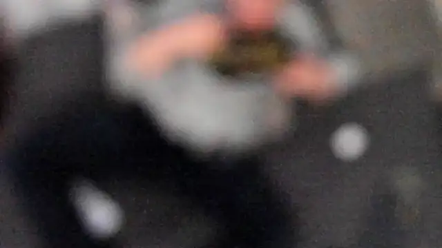 stillwild online show from 02-06-25, 04:42