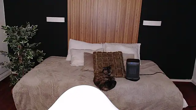 dafne bss online show from 03-06-25, 05:03